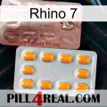 Rhino 7 new13